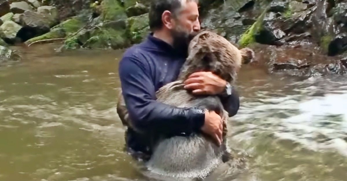 So erging es einem Mann, der ein Bärenjunges rettete ➤ Globenow.info